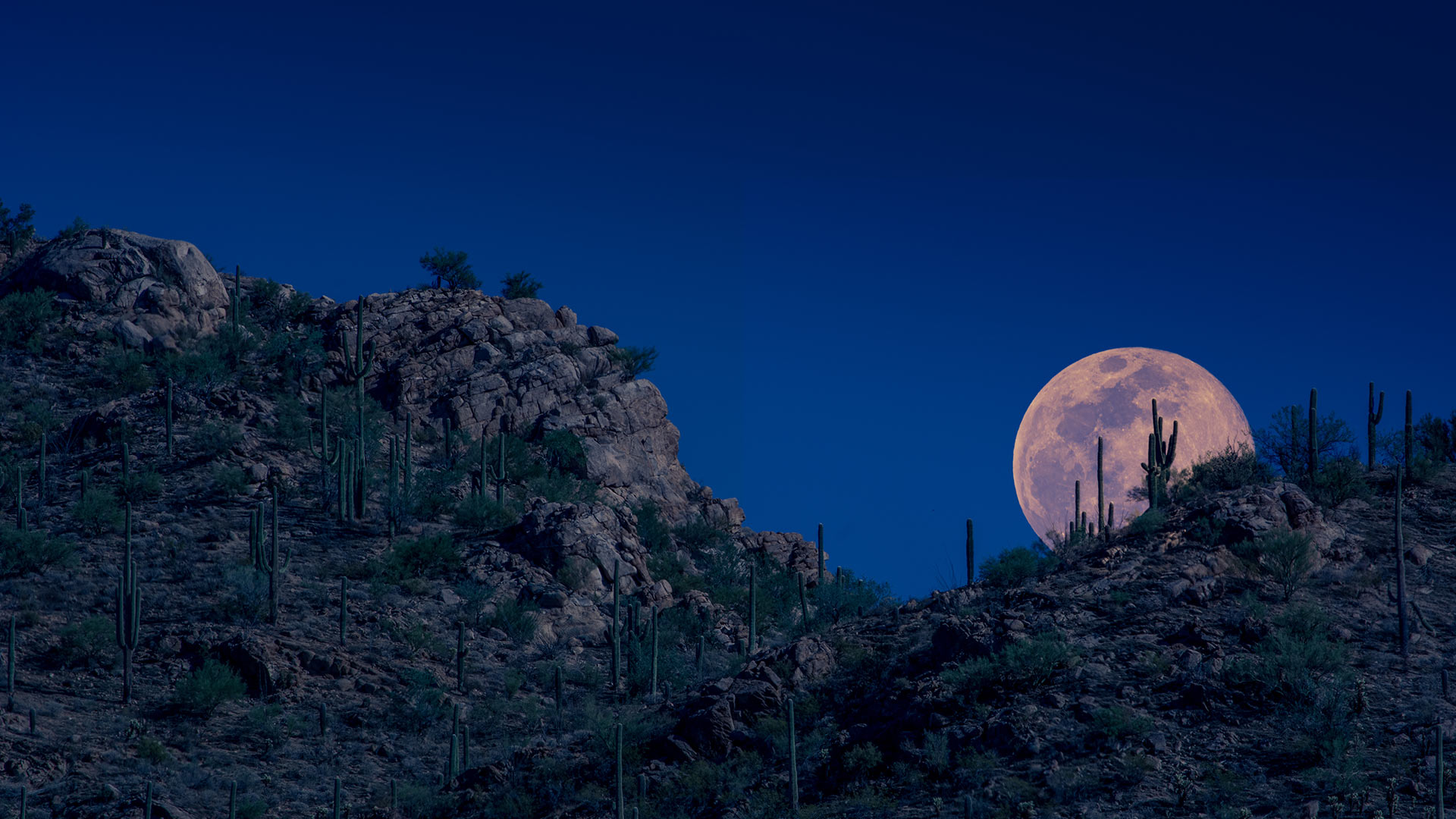 Bing Hd Wallpaper A Pink Moon Over Arizona Bing Wallpaper Gallery